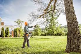 Best Arborist Consultation Services  in Lexington, OK